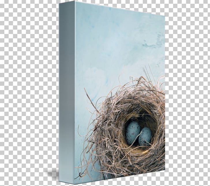 Bird Nest Stock Photography PNG, Clipart, Architecture, Art, Bird, Bird Nest, Canvas Print Free PNG Download