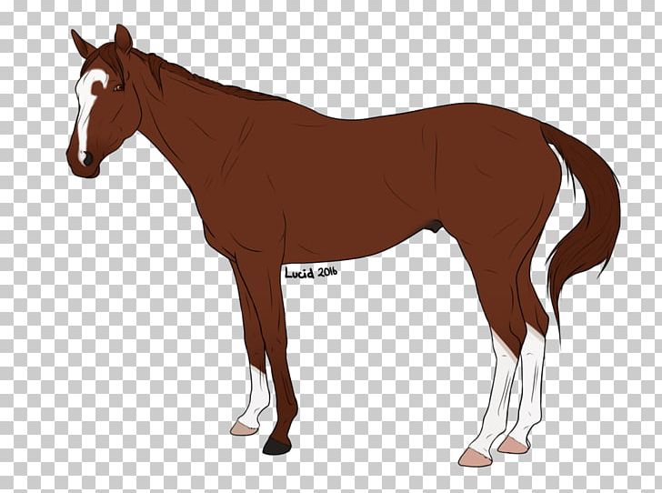 Clydesdale Horse Friesian Horse Arabian Horse Shire Horse Draft Horse PNG, Clipart, Animal Figure, Bit, Black, Bridle, Chronic Progressive Lymphedema Free PNG Download