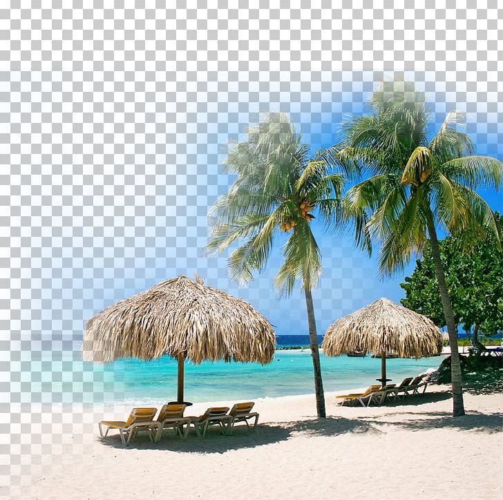 Klein Curaxe7ao Coral Estate Centre Playa PortoMari Beach PNG, Clipart, Accommodation, Apartment, Arecales, Bandabou, Beaches Free PNG Download