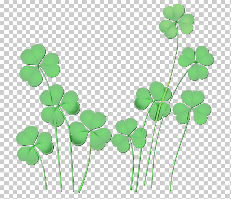Shamrock PNG, Clipart, Annual Plant, Clover, Creeping Wood Sorrel, Dutch Clover, Flower Free PNG Download