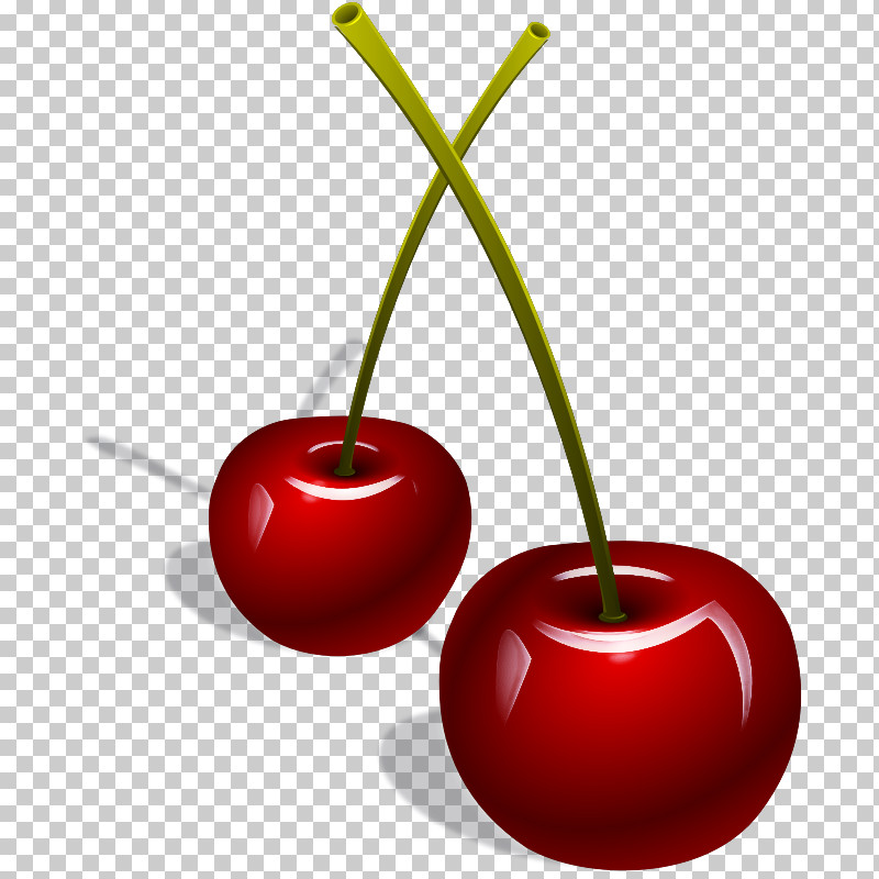 Cherry Fruit Red Plant Tree PNG, Clipart, Cherry, Drupe, Food, Fruit, Natural Foods Free PNG Download