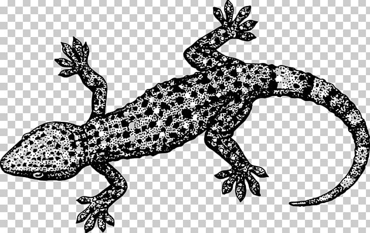 Lizard Gecko Eidechse Reptile PNG, Clipart, Black And White, Cartoon, Common Leopard Gecko, Drawing, Eidechse Free PNG Download