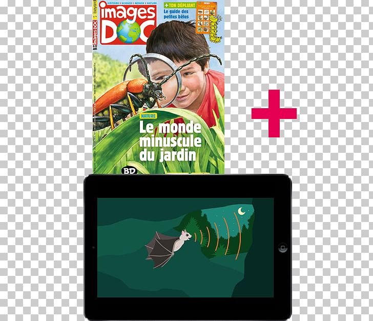 Magazine S Doc Subscription Prensa Escrita Child PNG, Clipart, Advertising, Belgium, Brand, Child, Convite Free PNG Download