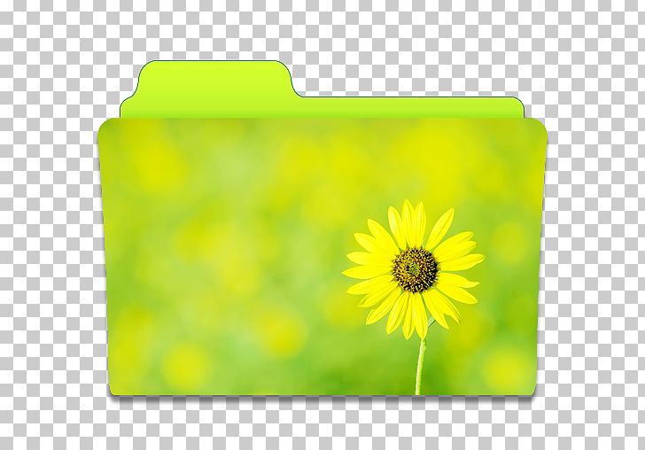 Sunflower Meadow Petal Yellow PNG, Clipart, 1080p, Cute Folders, Daisy Family, Desktop Computers, Desktop Wallpaper Free PNG Download