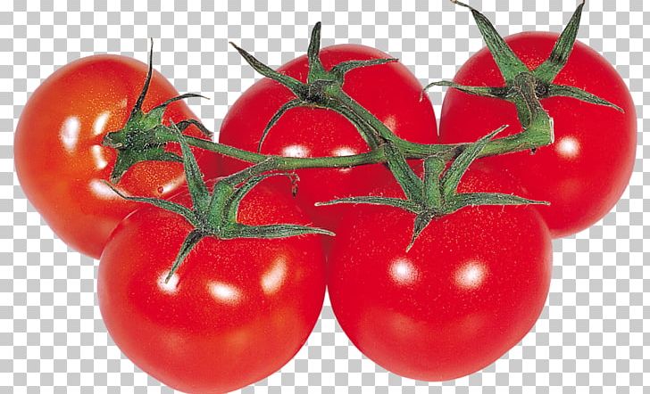 Tomato Juice Cabbage Roll Vegetable PNG, Clipart, Berry, Bush Tomato, Cabbage Roll, Cherry, Cherry Tomato Free PNG Download