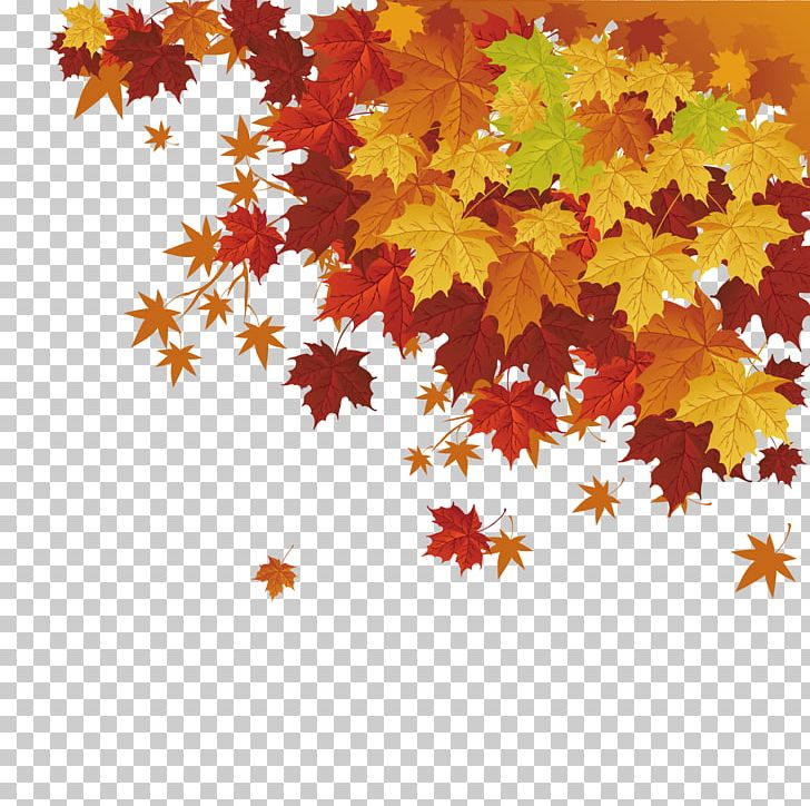 Autumn Leaf Color Maple Leaf PNG, Clipart, Autumn, Autumn Leaf, Cartoon, Cdr, Download Free PNG Download