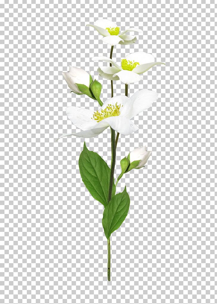 Cut Flowers Flowerpot Artificial Flower Plant Stem PNG, Clipart, Artificial Flower, Branch, Branching, Cut Flowers, Flower Free PNG Download