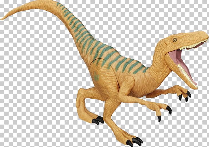 Velociraptor Amazon.com Action & Toy Figures Tyrannosaurus Carnotaurus PNG, Clipart, Action Toy Figures, Amazoncom, Animal Figure, Carnotaurus, Dimorphodon Free PNG Download