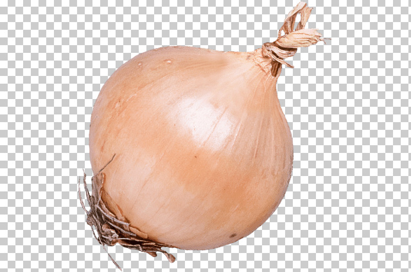 Brown Onion Vegetable Shallot Ingredient Genus PNG, Clipart, Genus, Ingredient, Onion, Shallot, Vegetable Free PNG Download