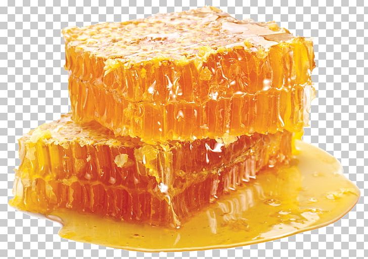 Beeswax Honeycomb Honey Bee Beehive PNG, Clipart, American Foulbrood, Bee, Beehive, Beeswax, Drink Free PNG Download