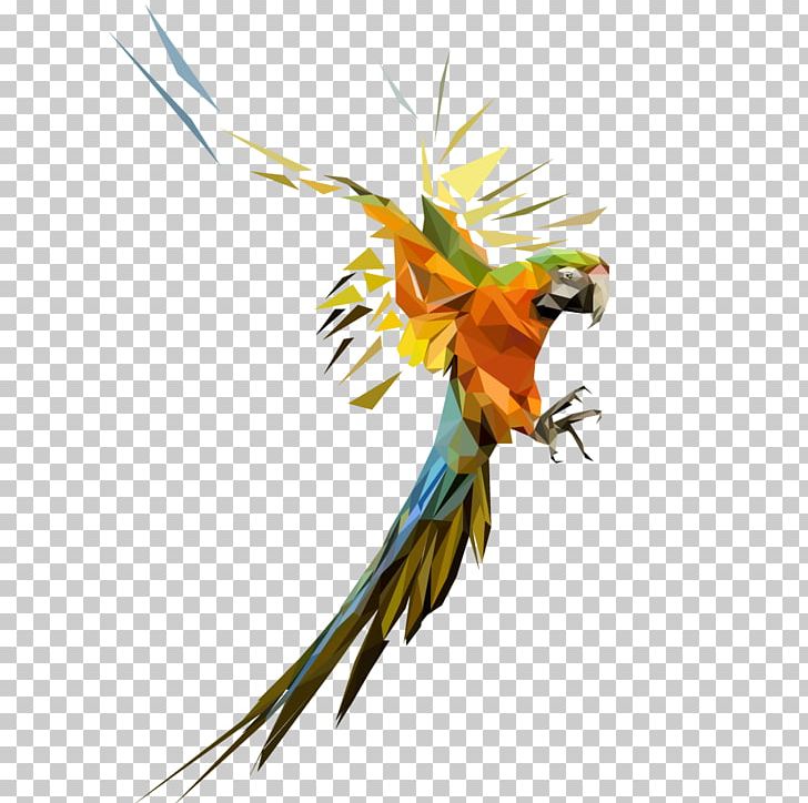 Bird Parrot Geometry Parakeet PNG, Clipart, Animal, Animals, Art, Beak, Bird Free PNG Download