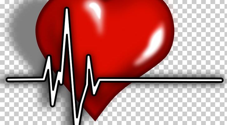 Portable Network Graphics Electrocardiography Heart PNG, Clipart,  Free PNG Download