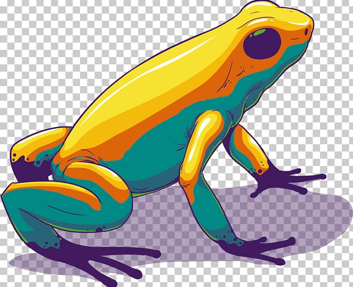 Toad True Frog Tree Frog PNG, Clipart, Amphibian, Animals, Art, Frog, Organism Free PNG Download