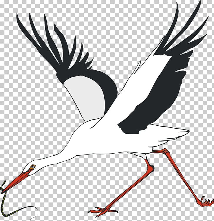 White Stork Water Bird Crane PNG, Clipart, Animal, Animals, Art, Beak, Bird Free PNG Download