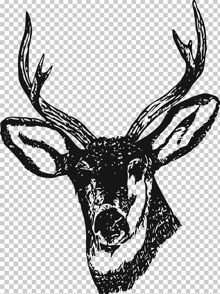 White-tailed Deer Moose Red Deer PNG, Clipart, Animals, Antler, Black And White, Curtain, Deer Free PNG Download