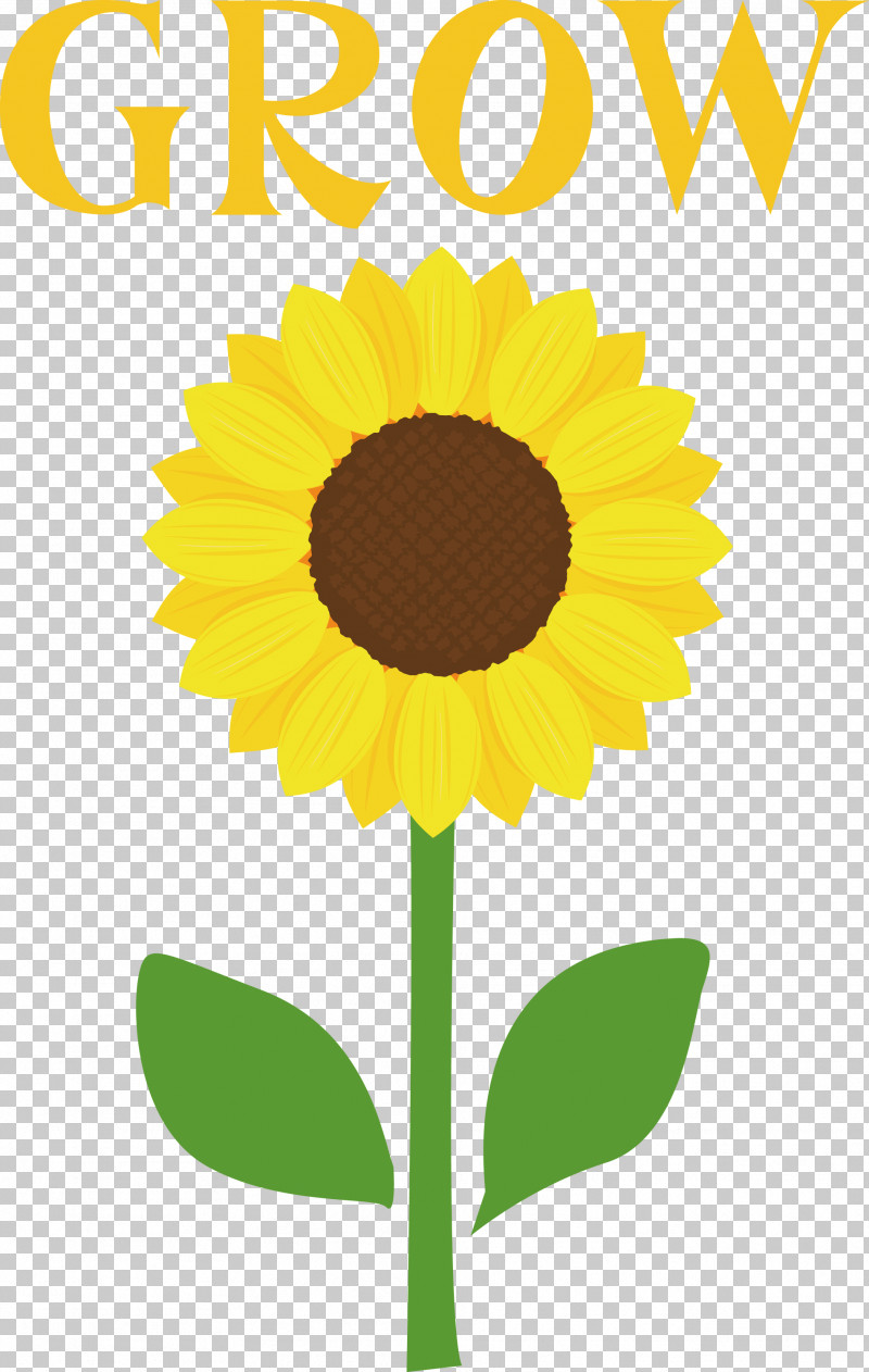 GROW Flower PNG, Clipart, Drawing, Flower, Grow, Logo, Painting Free PNG Download
