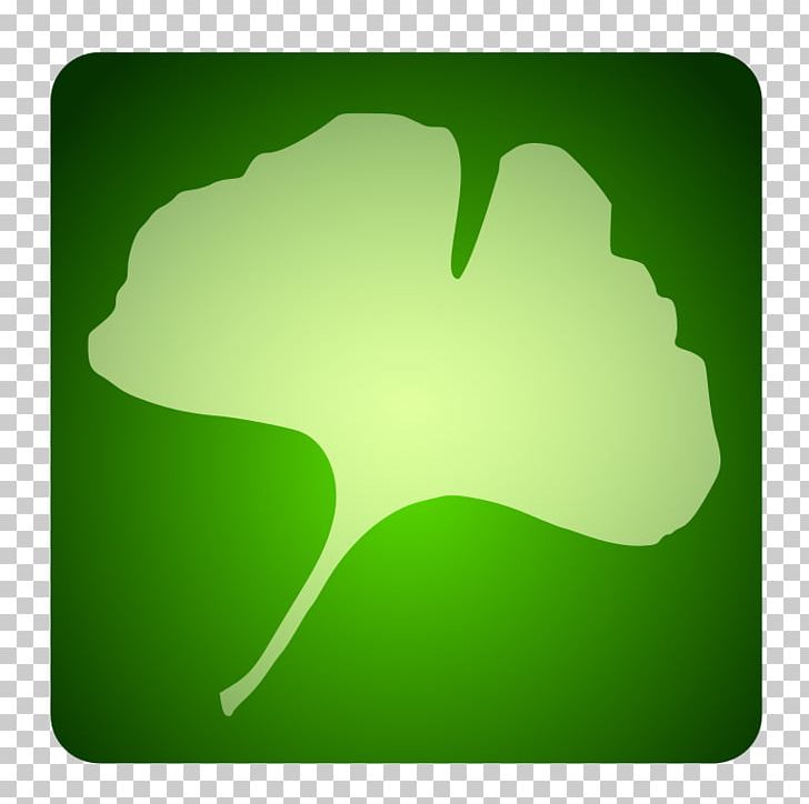 Desktop Tree Leaf Green PNG, Clipart, Computer, Computer Wallpaper, Desktop Wallpaper, Grass, Green Free PNG Download