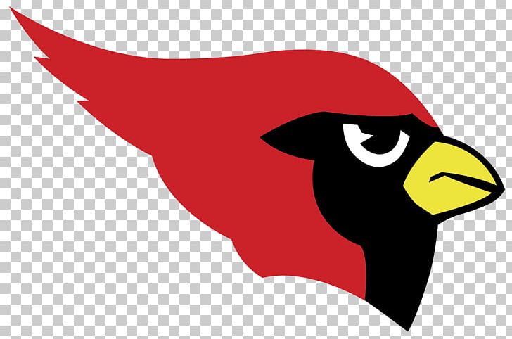 Harlingen High School Arizona Cardinals St. Louis Cardinals Catholic University Cardinals Football Saint Ignatius High School PNG, Clipart, Arizona Cardinals, Art, Bea, Bird, Cardinal Free PNG Download