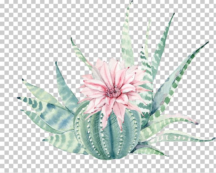 Succulent Plant Painting Canvas Print Cactaceae PNG, Clipart, Art, Botany, Canvas, Drawing, Flower Free PNG Download
