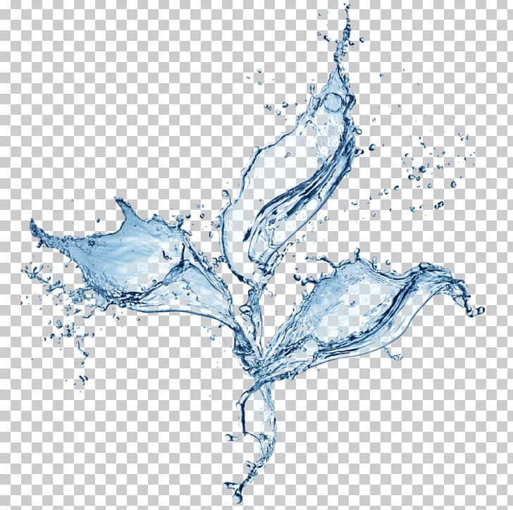 Water PNG, Clipart, Area, Art, Branch, Color Splash, Cool Free PNG Download