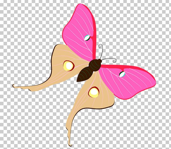 Butterfly Moth PNG, Clipart, Animal, Arthropod, Computer Icons, Encapsulated Postscript, Insects Free PNG Download