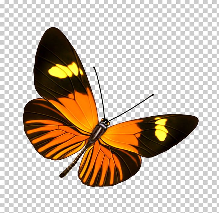 Butterfly Raster Graphics PNG, Clipart, Arthropod, Black And White, Blog, Brush Footed Butterfly, Butterflies Free PNG Download