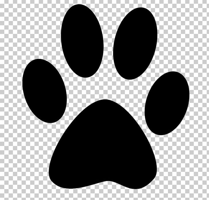 Cat Paw Dog Kitten Puppy PNG, Clipart, Animals, Animal Track, Black, Black And White, Black Cat Free PNG Download