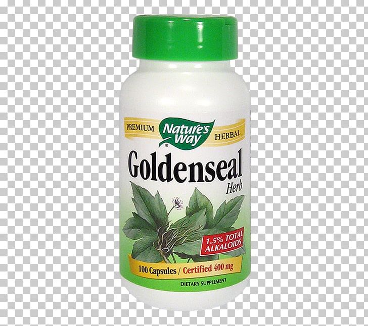 Dietary Supplement Greater Burdock Goldenseal Herb Capsule PNG, Clipart,  Free PNG Download