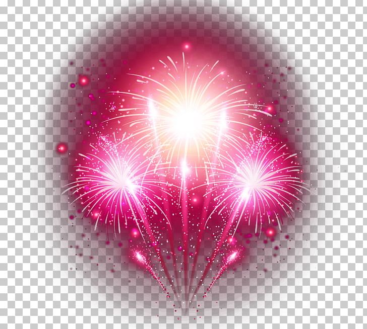 Fireworks Festival PNG, Clipart, Artificier, Bright, Cartoon Fireworks, Circle, Computer Wallpaper Free PNG Download