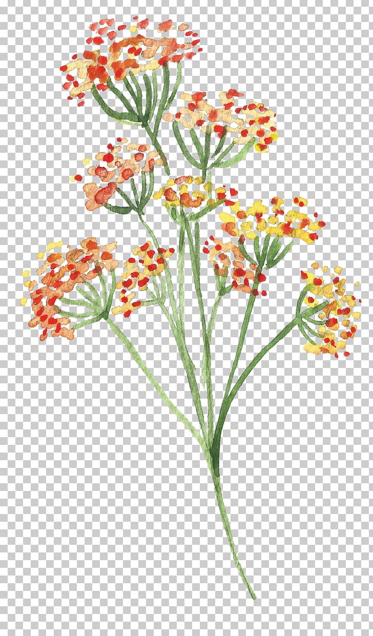 Flower Watercolor Painting PNG, Clipart, Branches, Chrysanthemum, Chrysanths, Cut Flowers, Download Free PNG Download