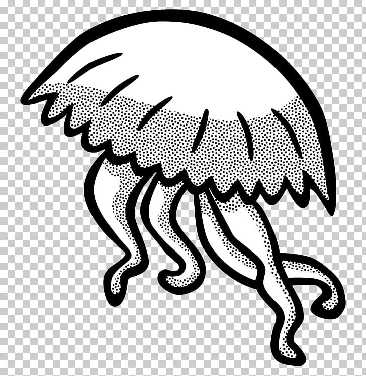 Jellyfish Black And White PNG, Clipart, Artwork, Beak, Bird, Black, Black And White Free PNG Download
