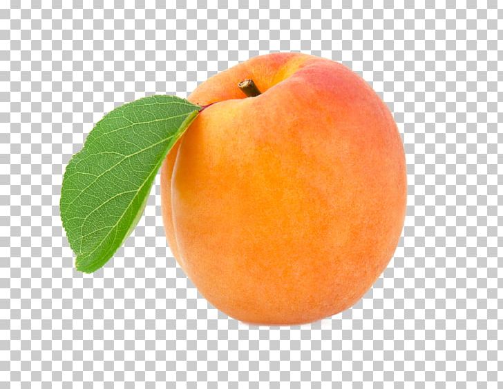 Peach Apricot Portable Network Graphics Fruit Transparency PNG, Clipart, Apple, Apricot, Desktop Wallpaper, Diet Food, Dried Fruit Free PNG Download