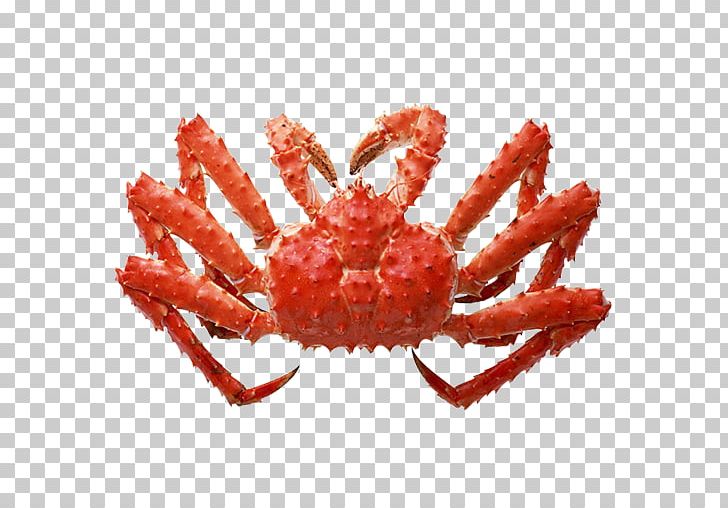 Red King Crab Seafood PNG, Clipart, Animals, Animal Source Foods, Apk, Catch, Chinese Mitten Crab Free PNG Download