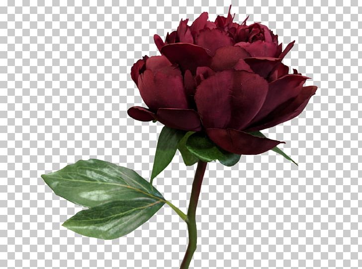 Garden Roses Peony Cut Flowers Artificial Flower Flower Bouquet PNG, Clipart, Artificial Flower, Centifolia Roses, Cut Flowers, Flower, Flower Bouquet Free PNG Download