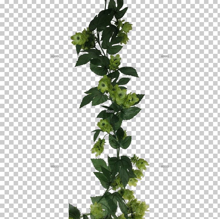 Leaf Herb Flowerpot Plant Stem Tree PNG, Clipart, Flowerpot, Herb, Ivy, Leaf, Oktoberfest Free PNG Download