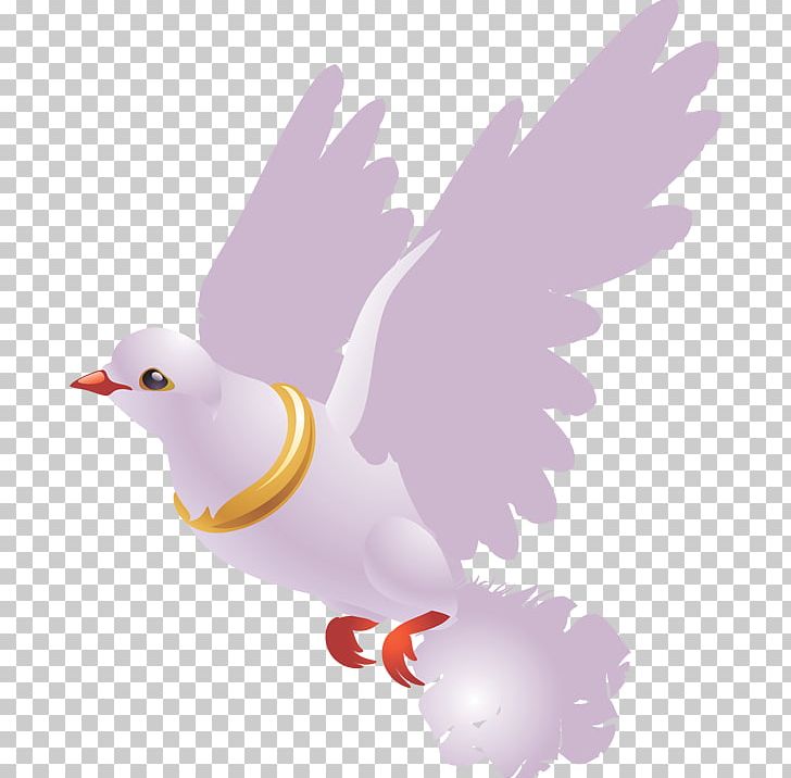 Bird Columbidae Domestic Pigeon Cygnini PNG, Clipart, Animals, Beak, Bird, Bird Of Prey, Chicken Free PNG Download