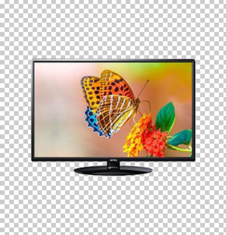 HD Ready Television Set LED-backlit LCD High-definition Television PNG, Clipart, 1080p, Butterfly, Display Device, Display Size, Hd Ready Free PNG Download