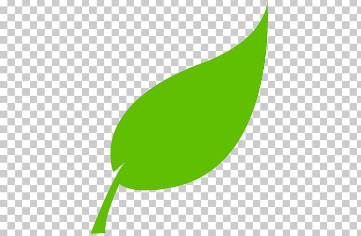 Leaf PNG, Clipart, Desktop Wallpaper, Encapsulated Postscript, Fern, Grass, Green Free PNG Download