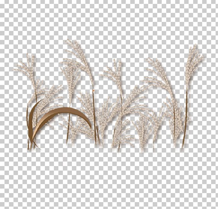 Plant PNG, Clipart, Cao Zhang, Cartoon, Chinoiserie, Common Reed, Download Free PNG Download