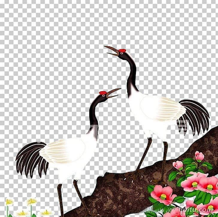 Red-crowned Crane Painting Bird Grey Crowned Crane PNG, Clipart, Art, Bird, Crane, Ducks Geese And Swans, Feather Free PNG Download