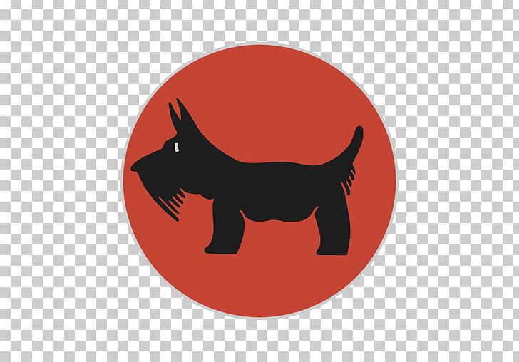 Whiskers Dog Cat Snout PNG, Clipart, Animals, Black, Black Cat, Black M, Carnivoran Free PNG Download