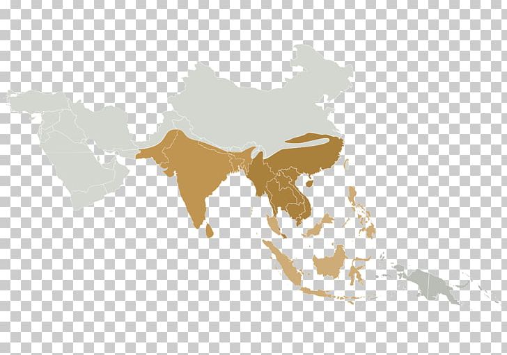 Asia Blank Map Globe Cartography PNG, Clipart, Asia, Blank Map, Cartography, Computer Wallpaper, Geography Free PNG Download