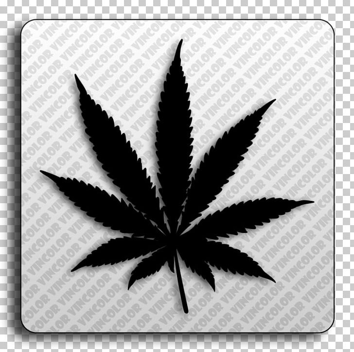 Cannabis Smoking Drug Cannabis Smoking Medical Cannabis PNG, Clipart, Addiction, Black And White, Cannabis, Cannabis Smoking, Drug Free PNG Download