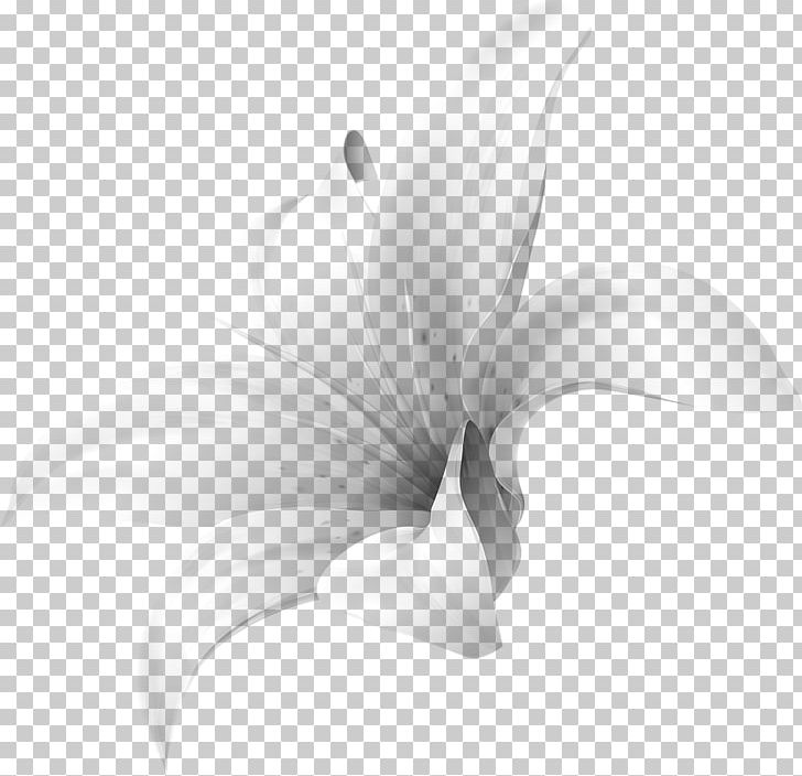 Lily M PNG, Clipart, Black And White, Closeup, Flora, Flower, Flowering Plant Free PNG Download