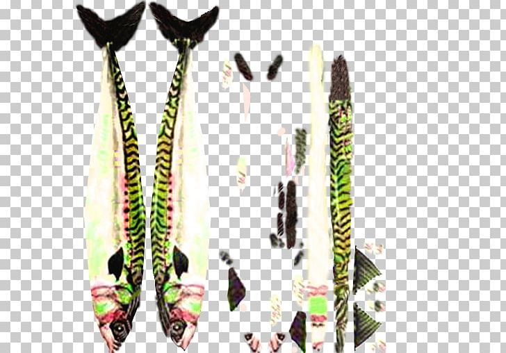 Ski Bindings Mackerel Feather PNG, Clipart, Feather, Mackerel, Others, Ski, Ski Binding Free PNG Download