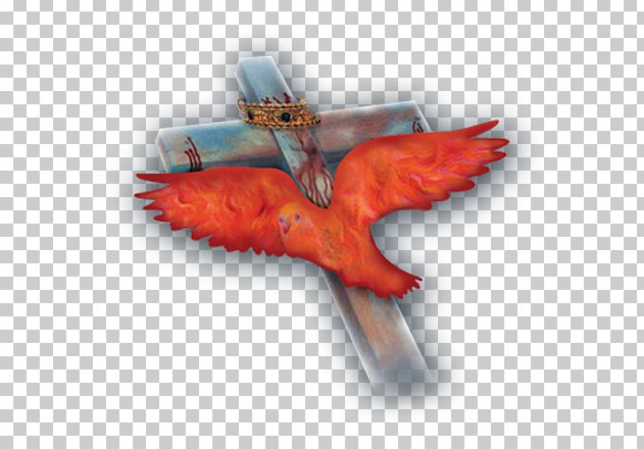 Wing Macaw Beak Feather PNG, Clipart, Animals, Beak, Bird, Christian, Church Free PNG Download
