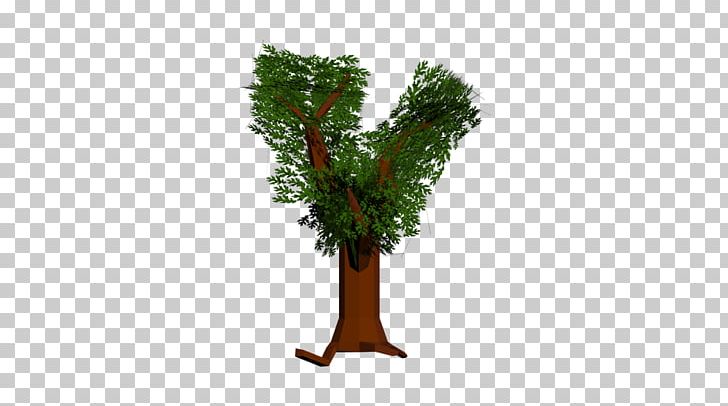 Woody Plant Branch Tree Twig PNG, Clipart, Branch, Flora, Flowerpot, Grass, Leaf Free PNG Download