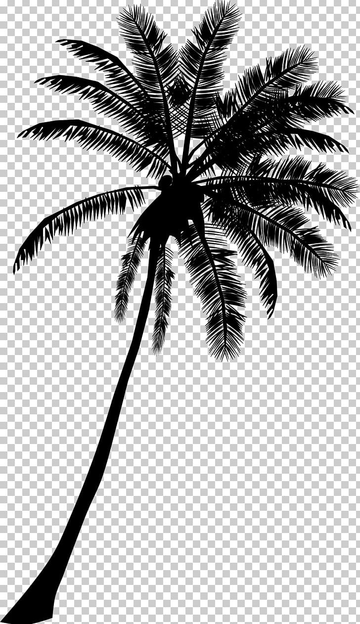 Arecaceae Tree Cdr Silhouette PNG, Clipart, Arecaceae, Arecales, Black And White, Borassus Flabellifer, Branch Free PNG Download