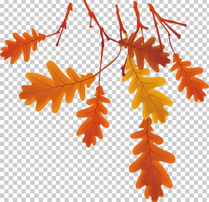 Autumn Leaves PNG, Clipart, Autumn, Autumn Leaves, Branch, Deciduous, Deciduous Branches Free PNG Download