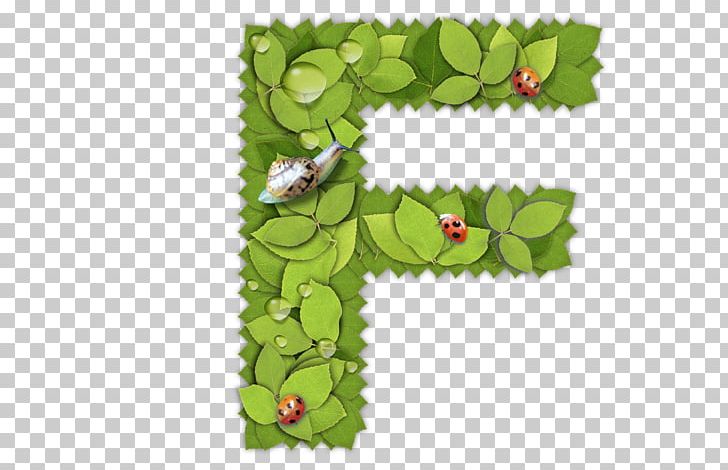 English Alphabet F Letter PNG, Clipart, Alphabet, Area, Background Green, Branch, Decoration Free PNG Download